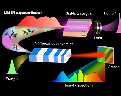 Protection for Electronic Sensors and Detectors